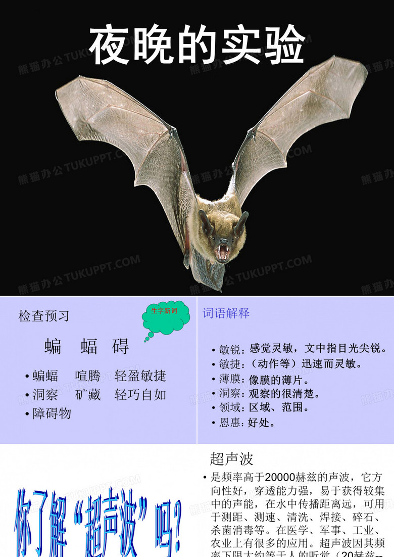《夜晚的实验》ppt(课件)