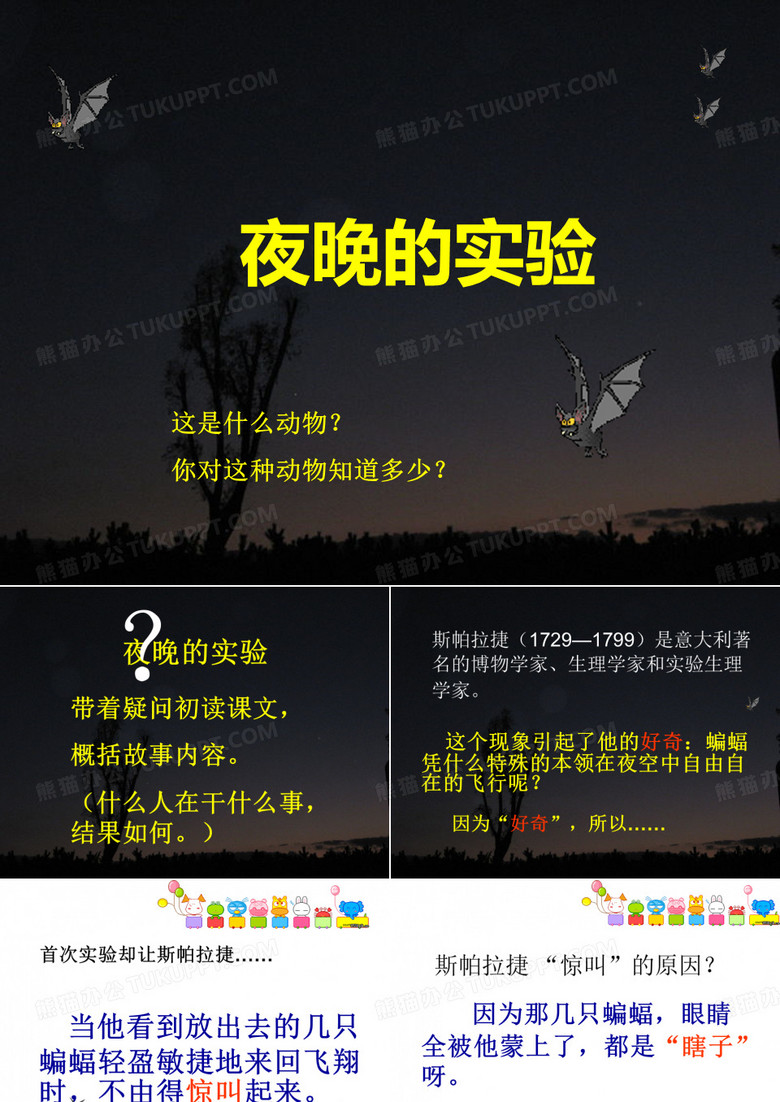 夜晚的实验PPT课件