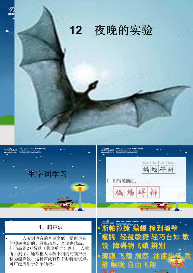 12《夜晚的实验》课件