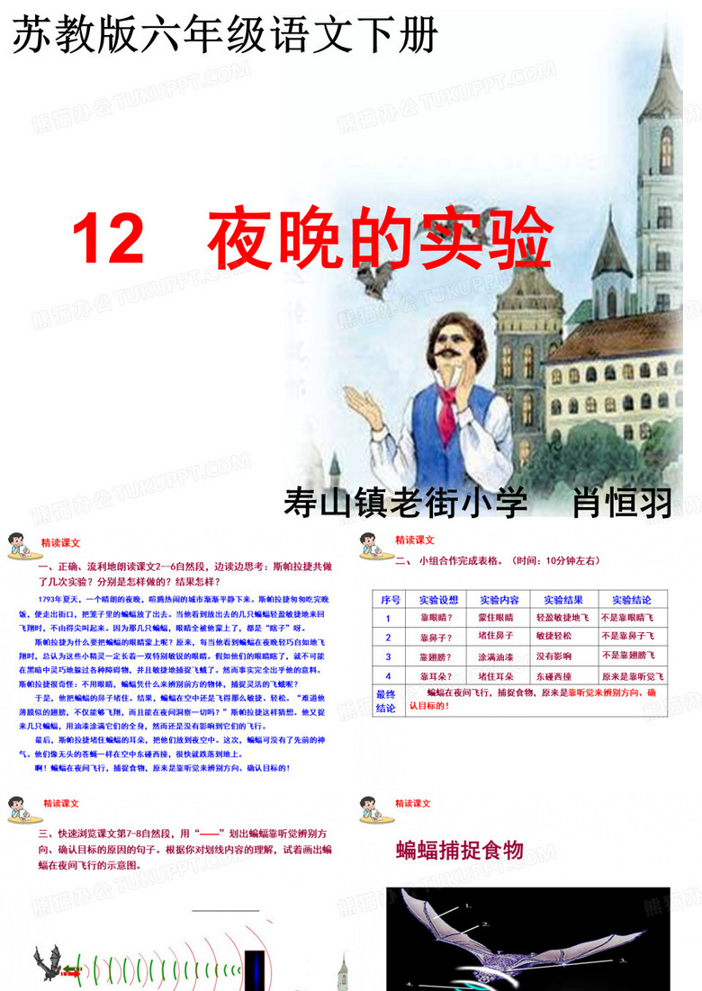 夜晚的实验  第二课时