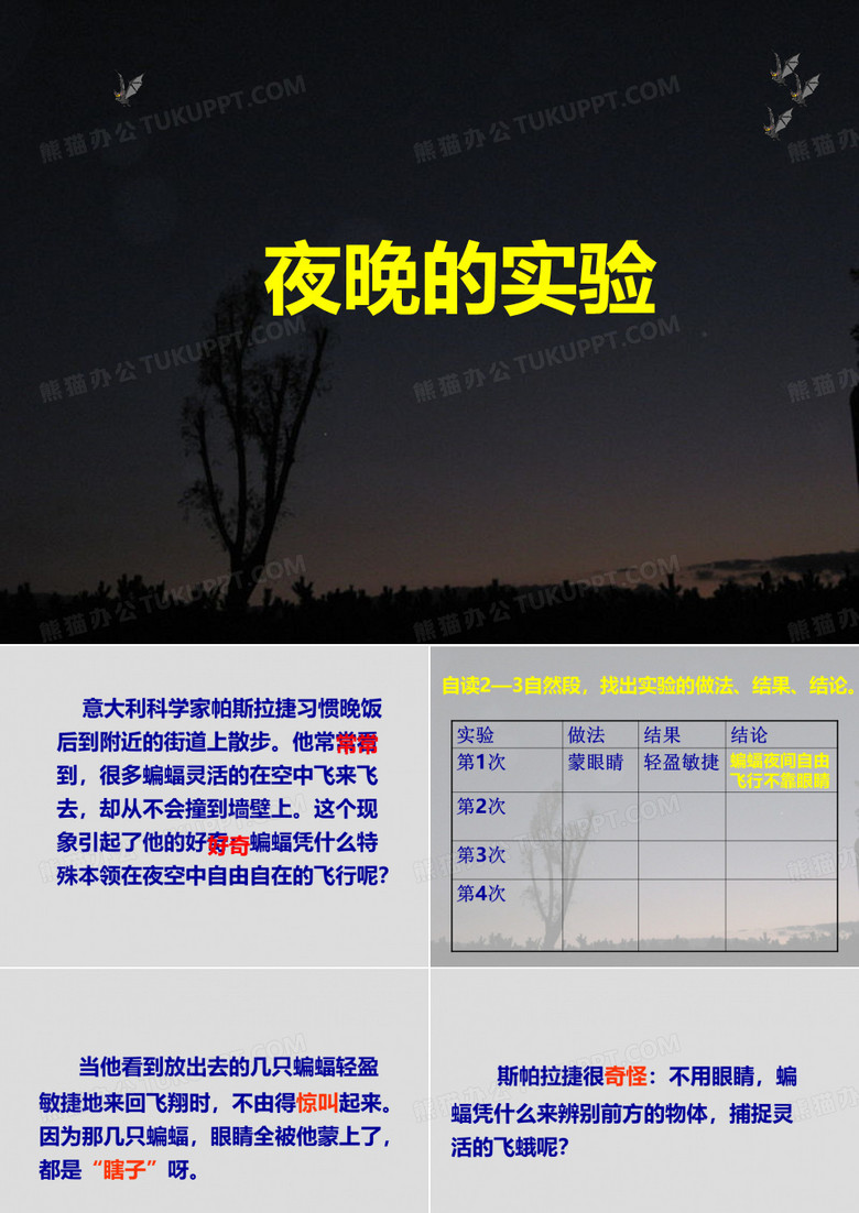 夜晚的实验PPT课件