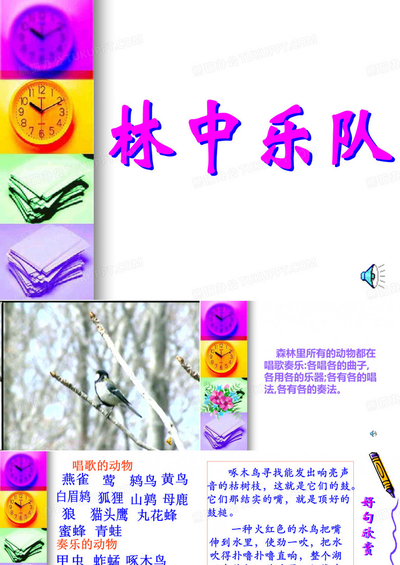 林中乐队(绮妮)