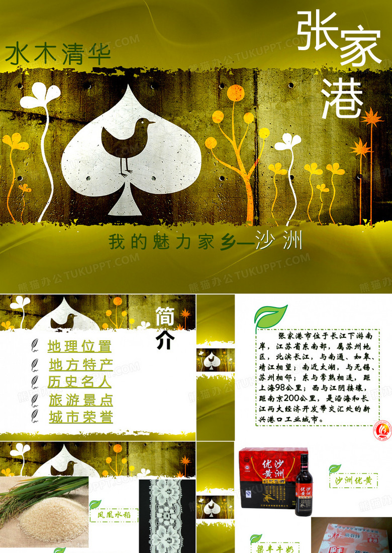 魅力张家港PPT