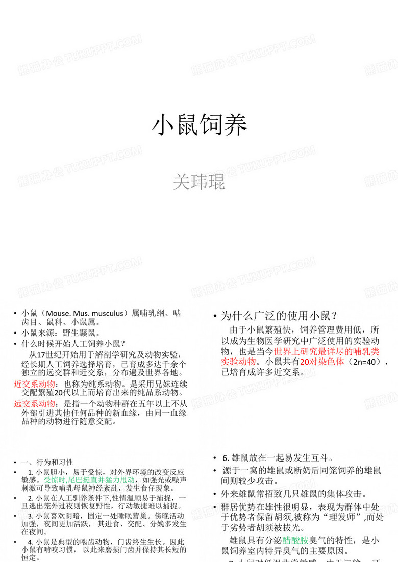 实验课：小鼠饲养