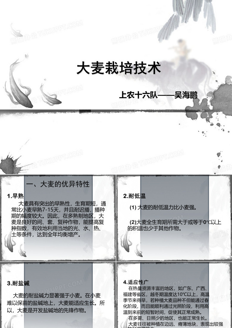 大麦栽培技术ppt课件
