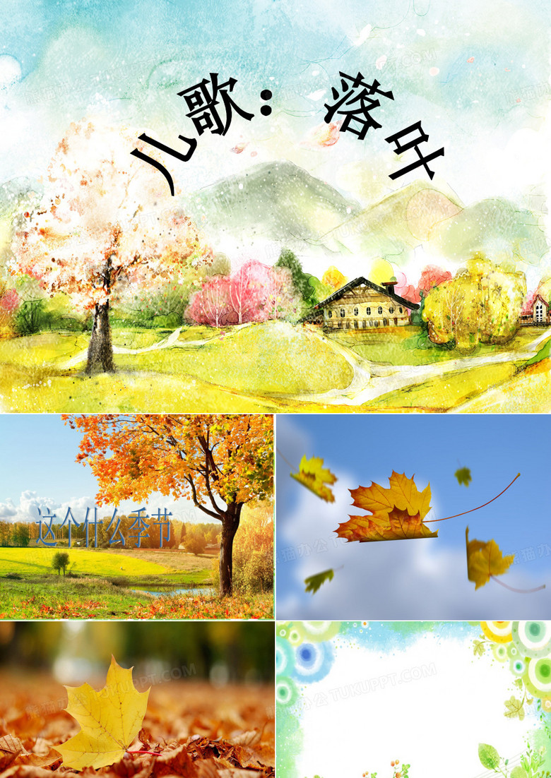 大班儿歌落叶
