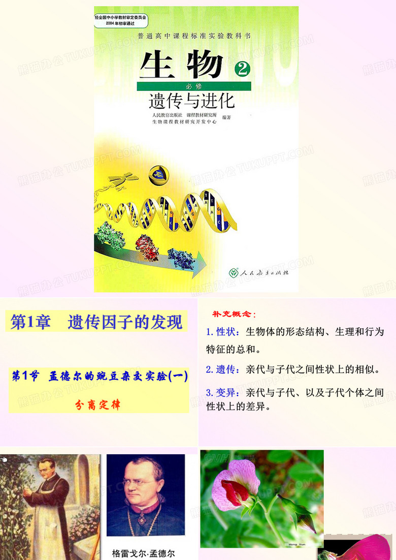 分离定律