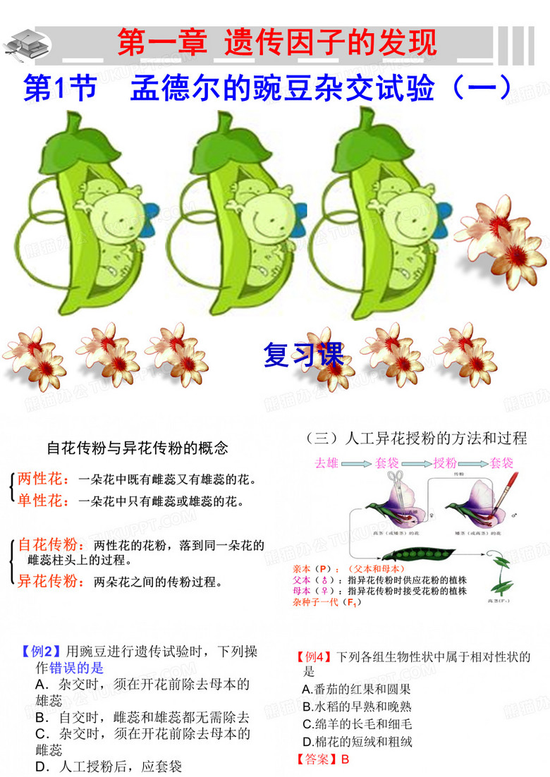 分离定律