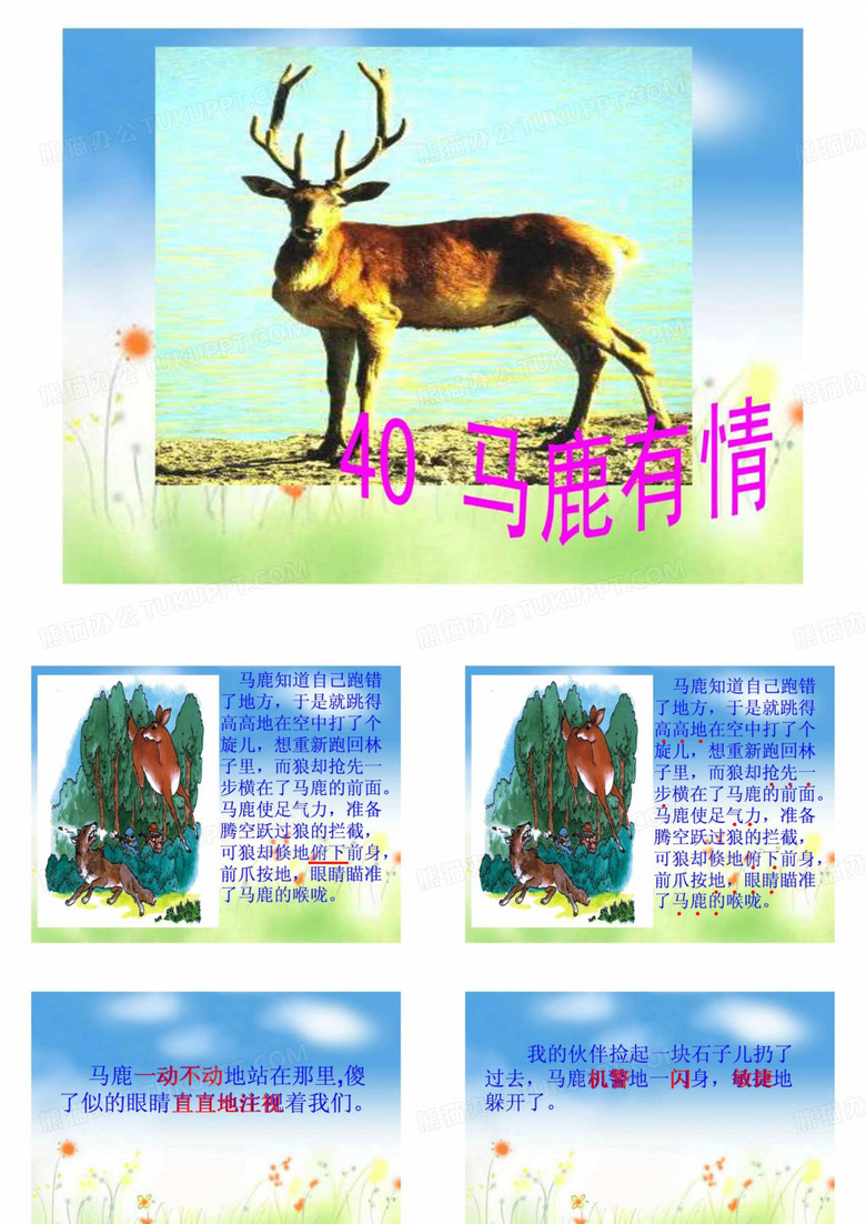 40马鹿有情.ppt1共16页