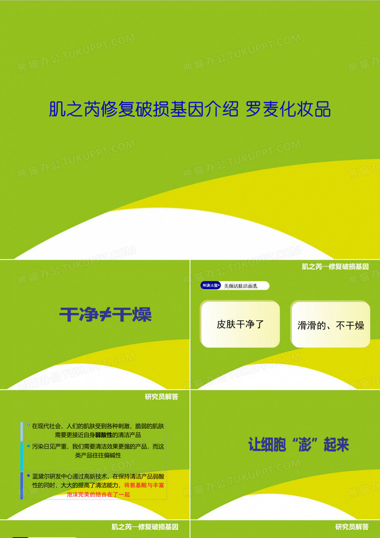 肌之芮修复破损基因介绍 罗麦化妆品PPT(完整版)