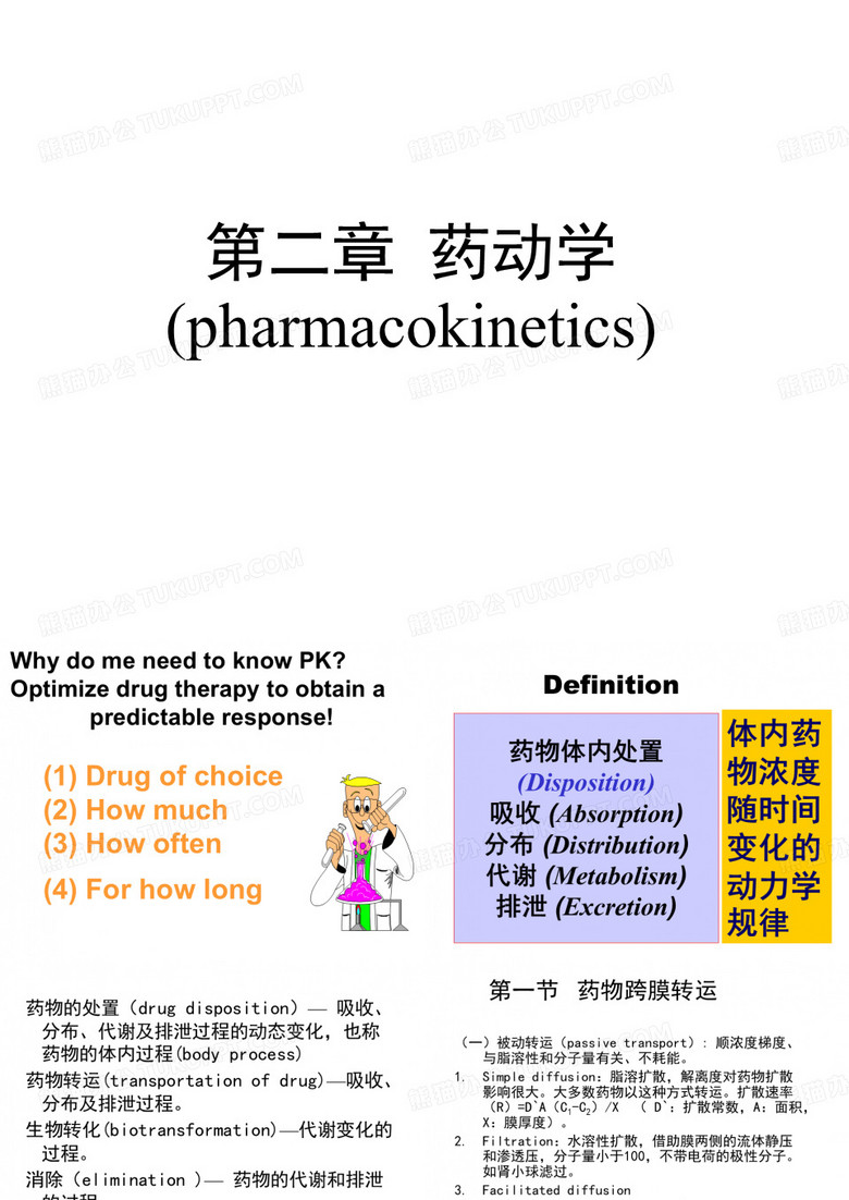 药代动力学