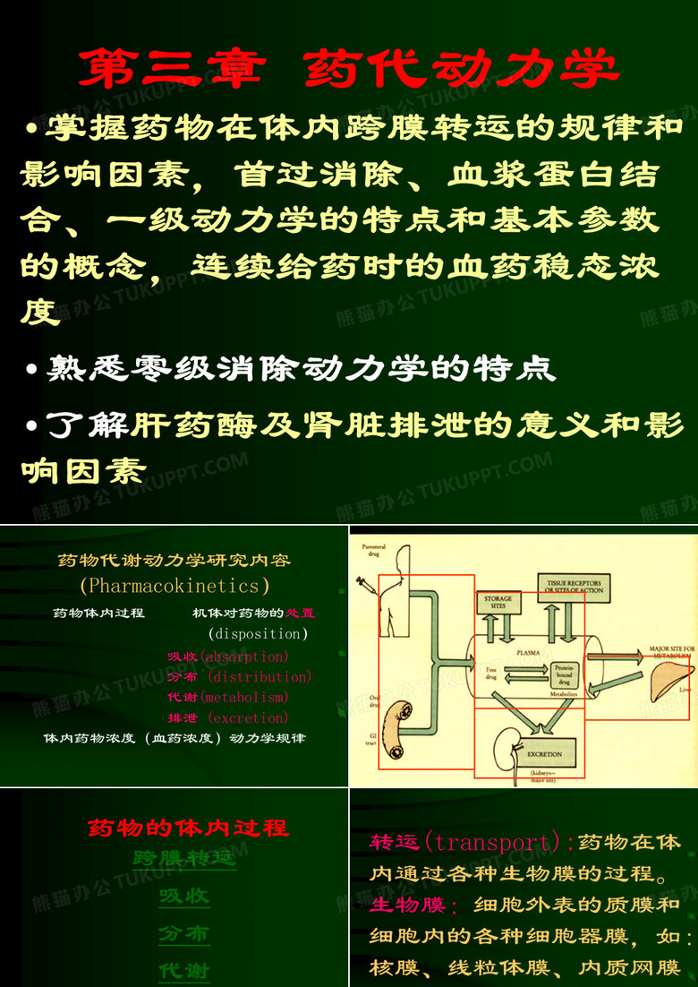 药代动力学