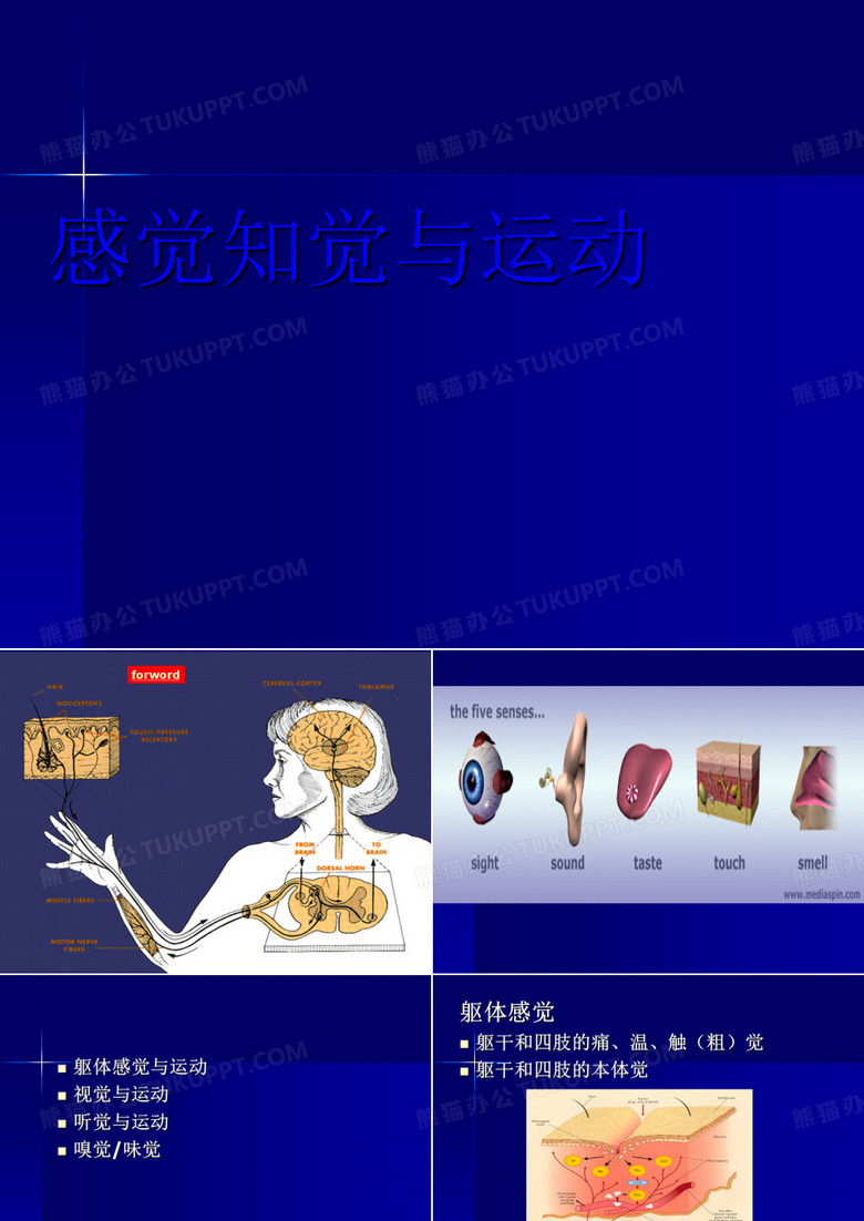 感知觉与运动