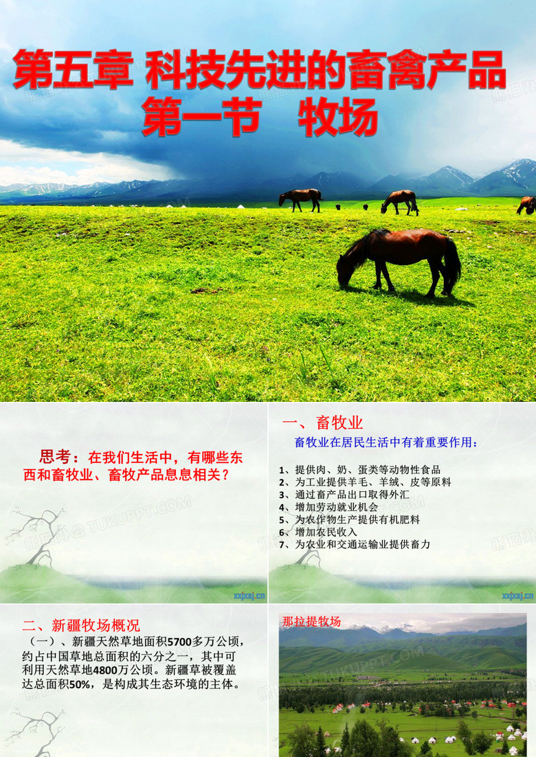 新疆地方课 畜牧业