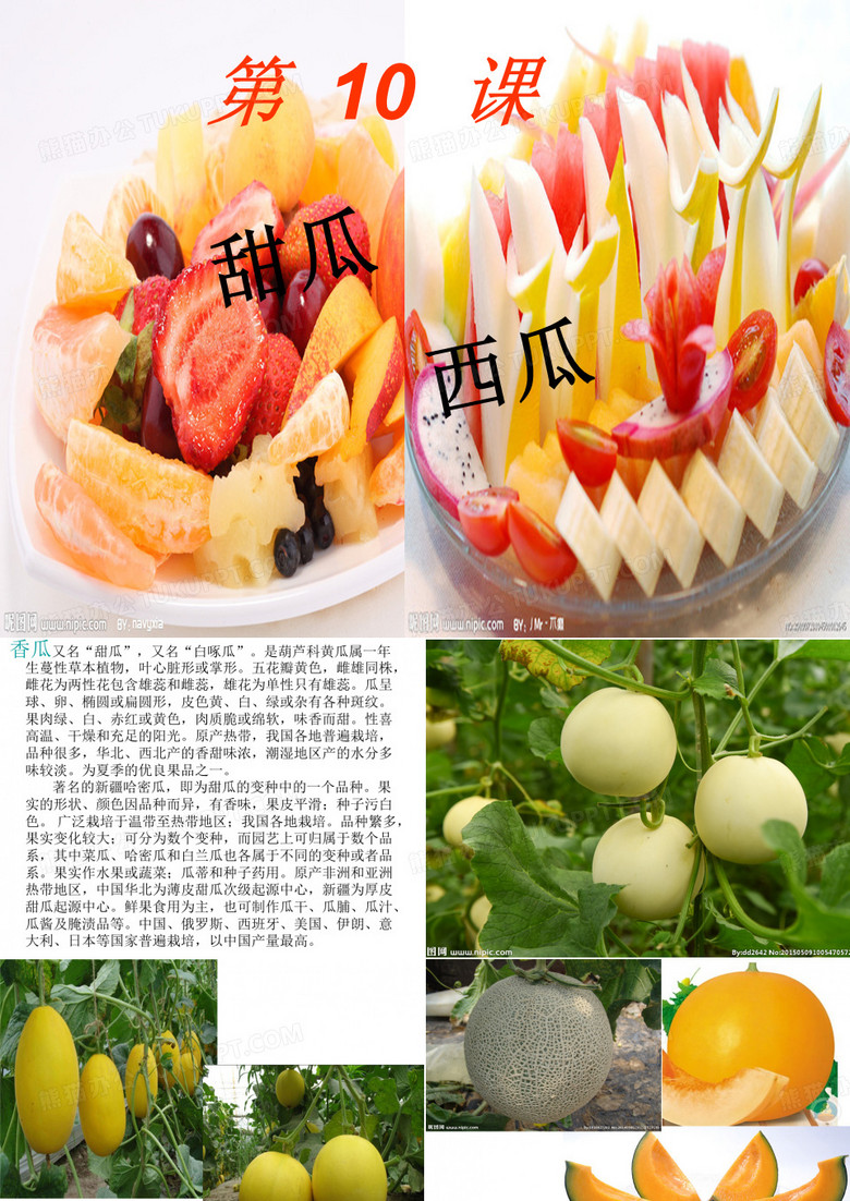 地方课西瓜、甜瓜ppt