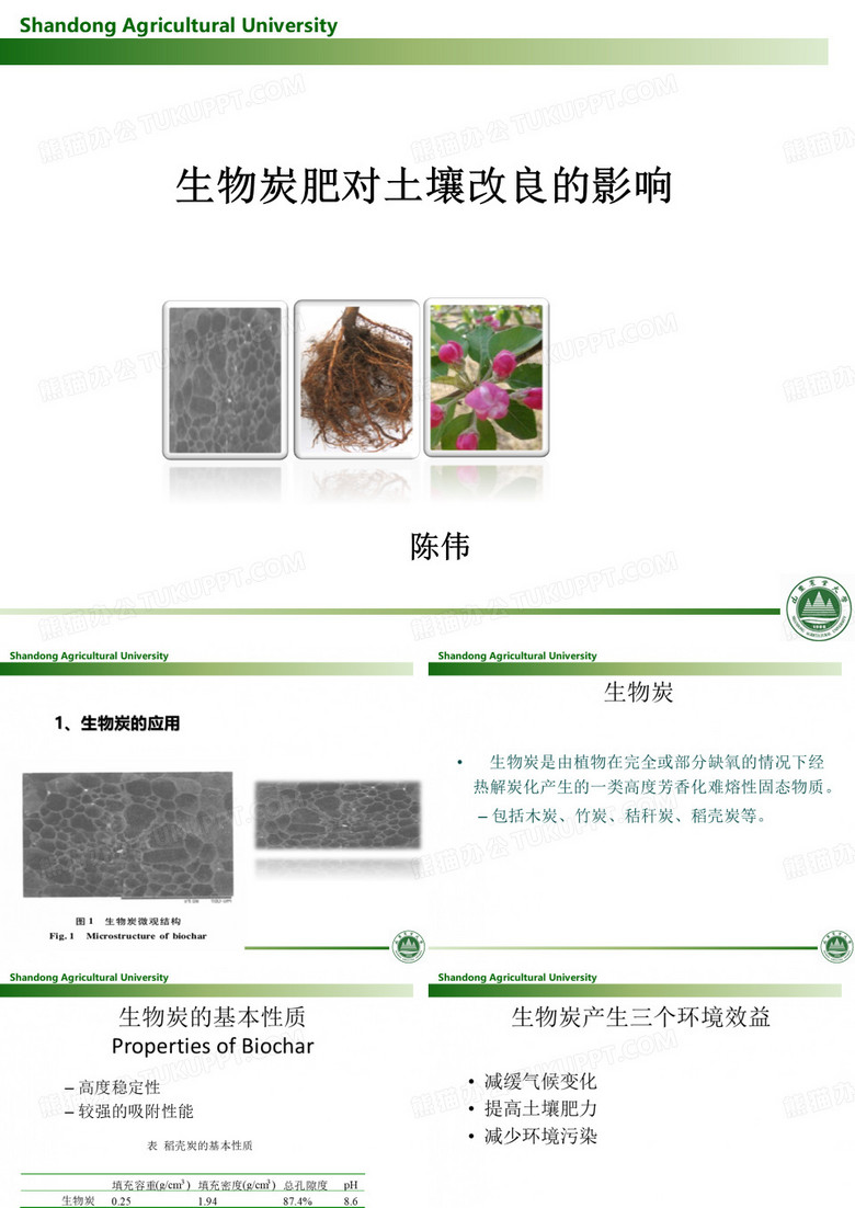 生物炭20131