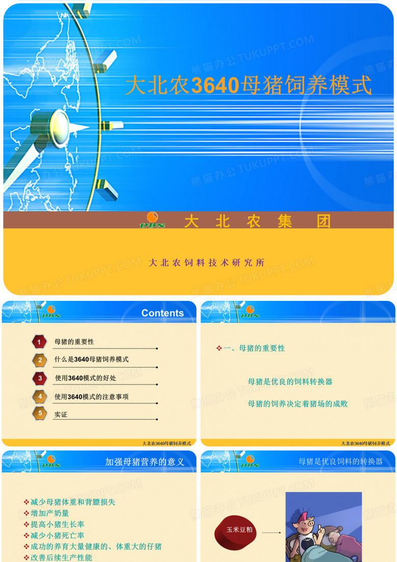 大北农母猪3640饲养模式