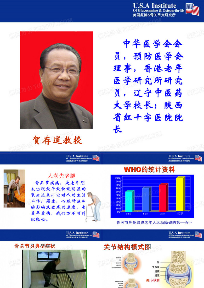 邦杰氨糖软骨素