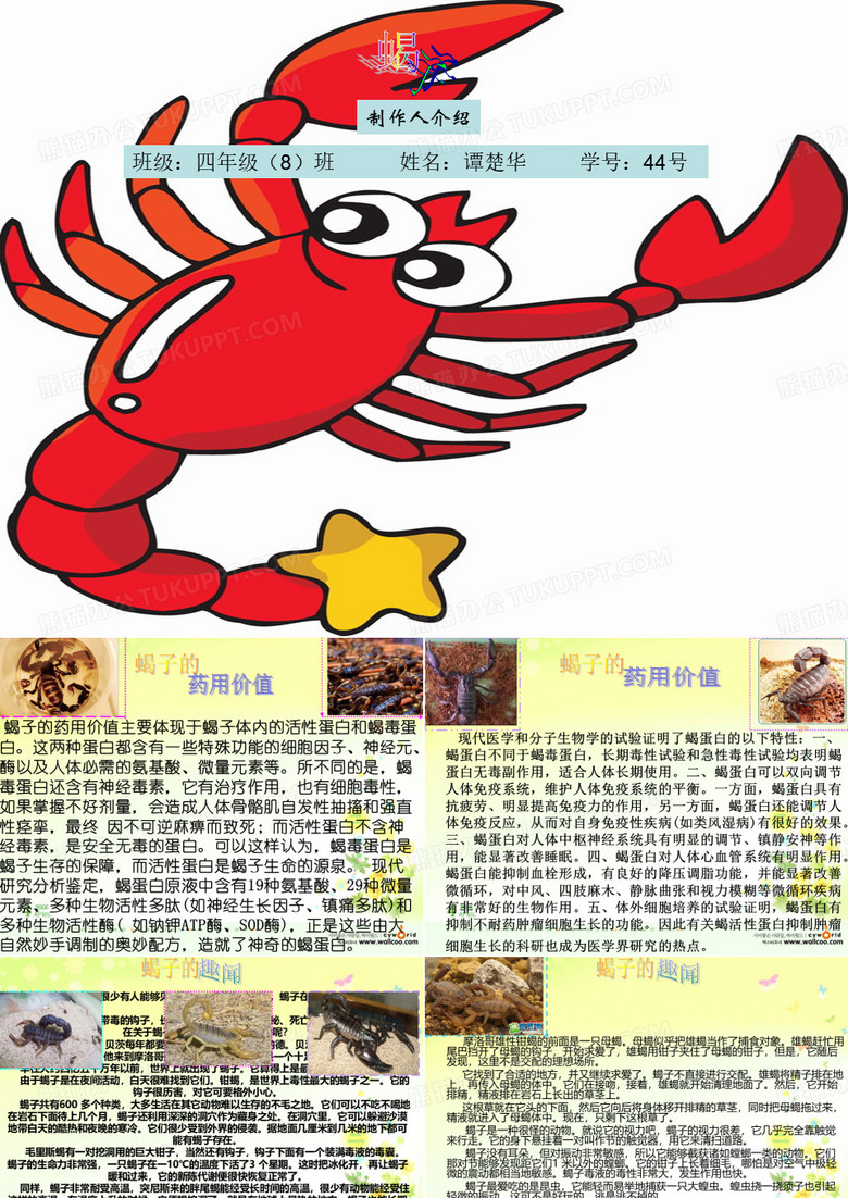 蝎子