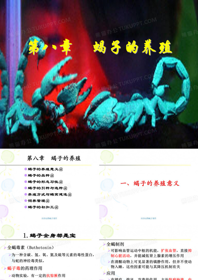 经济动物蝎子课件