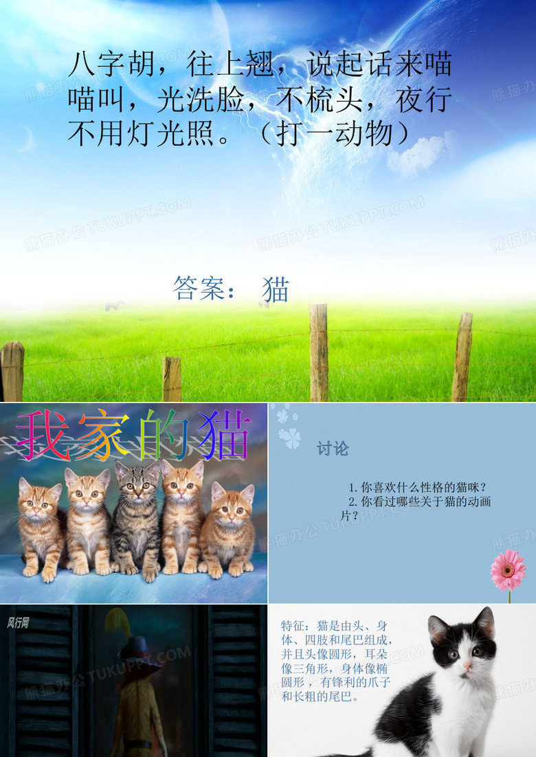 三年级下册美术课件-第7课 我家的猫｜辽海版   