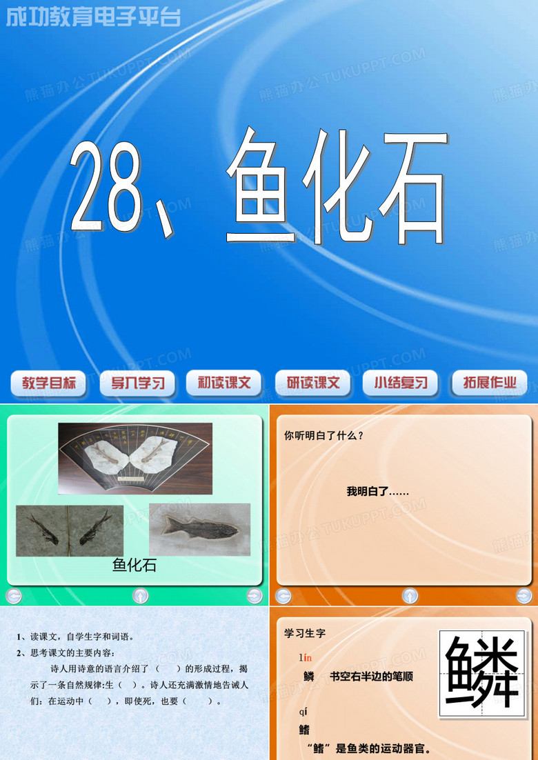 28、鱼化石
