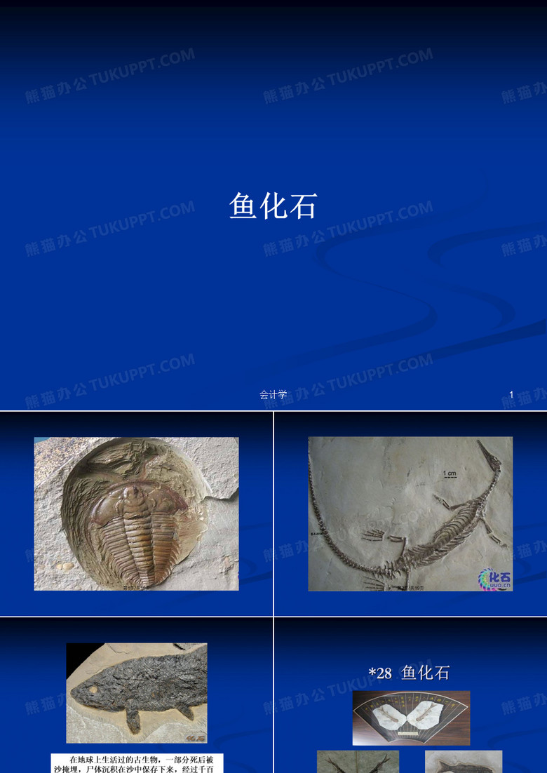 鱼化石PPT学习教案
