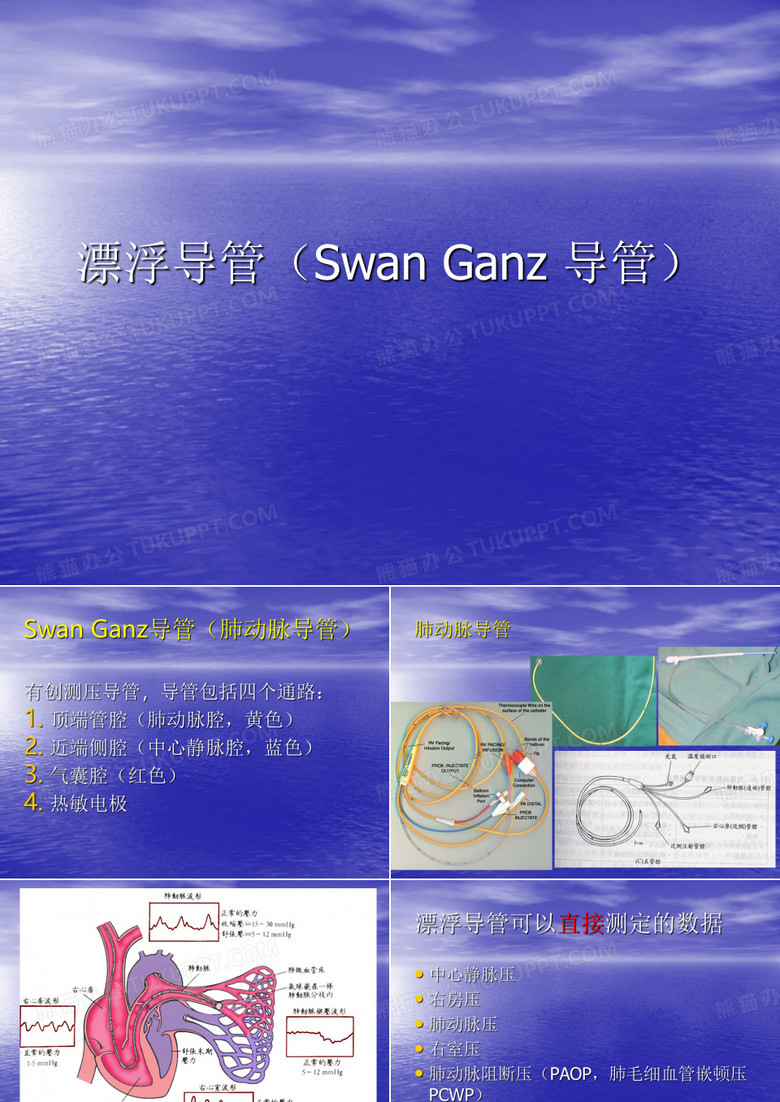 漂浮导管(Swan Ganz 导管)