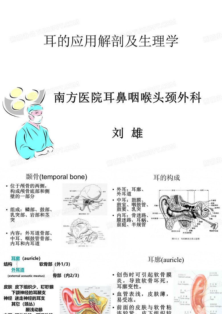 耳鼻喉解剖