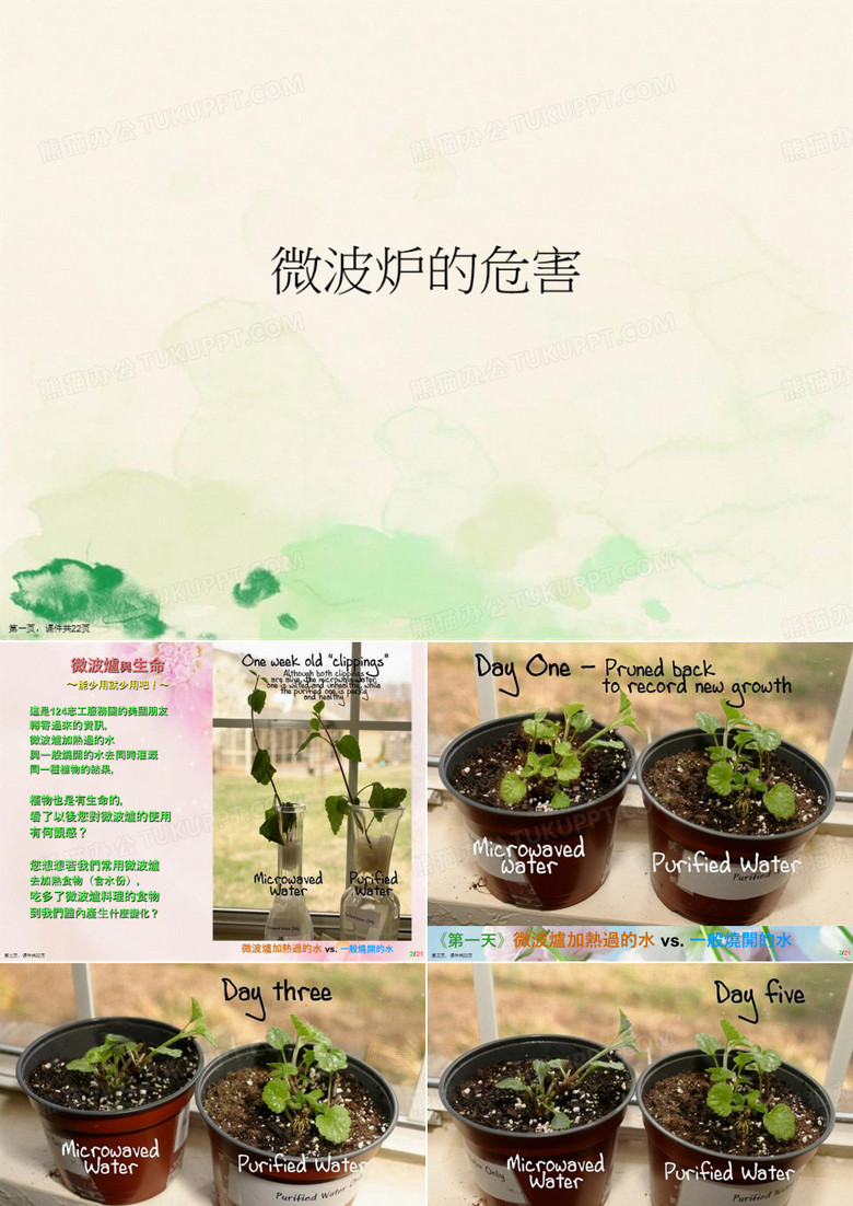 微波炉的危害