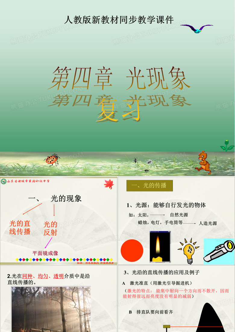 光现象复习PPT