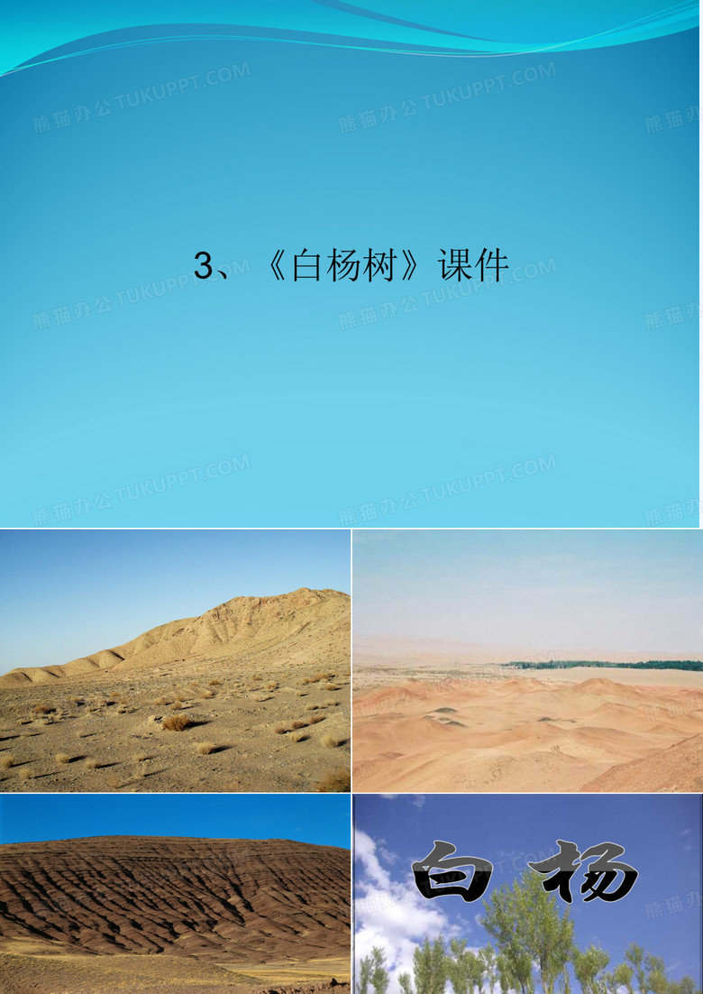 3、《白杨树》课件