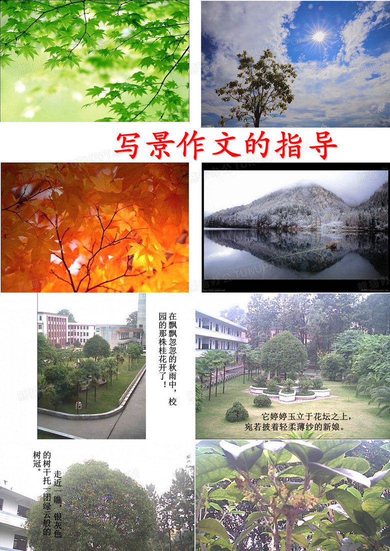 优秀写景作文指导