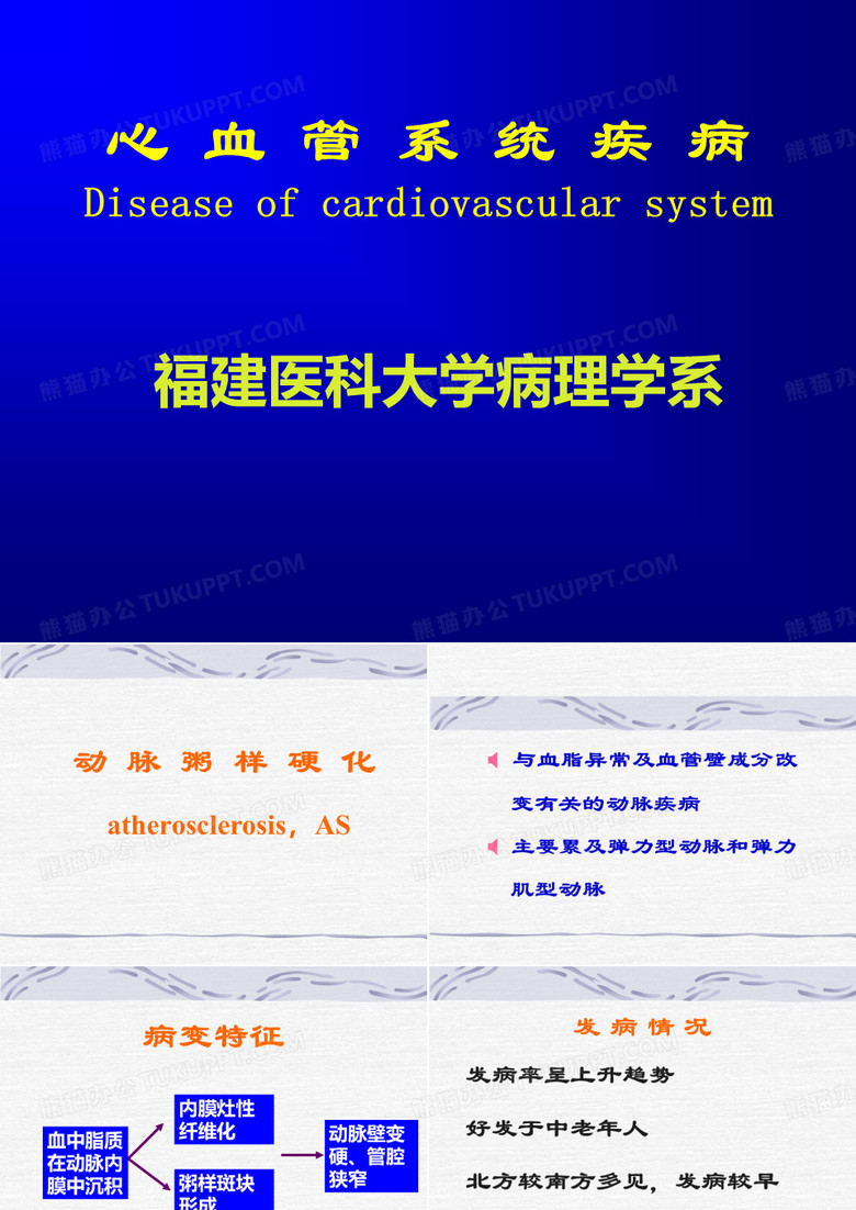 心血管系统疾病文字版