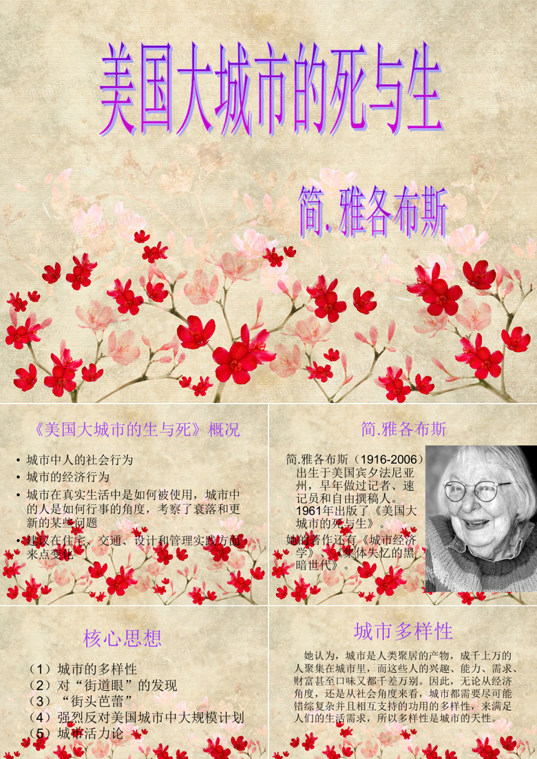 《美国大城市的死与生》简介