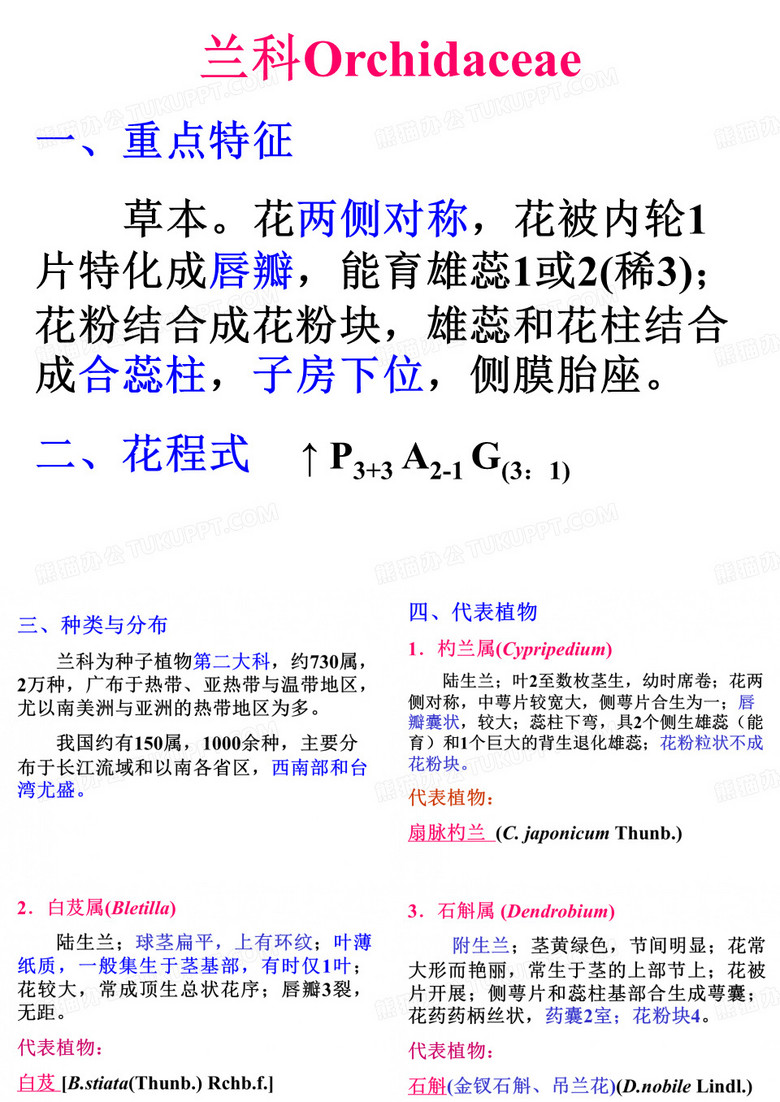 植物学兰科