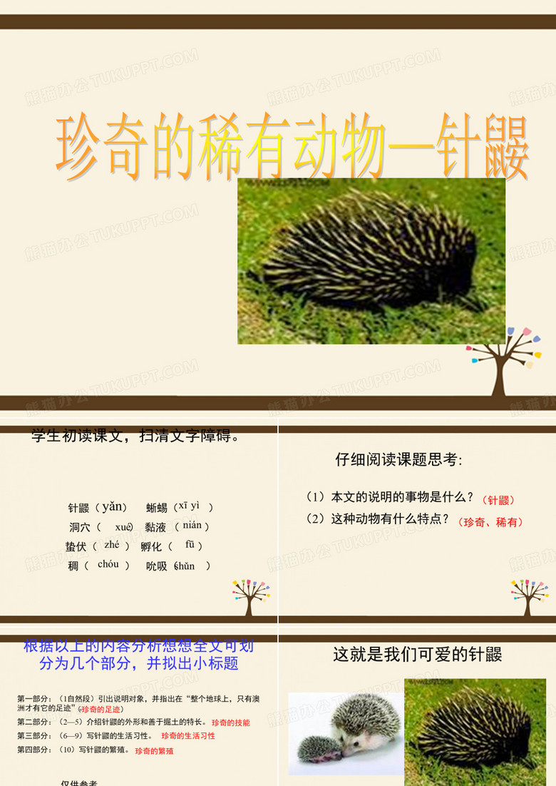 七年级语文下册 20 珍奇的稀有动物—针鼹课件 语文版