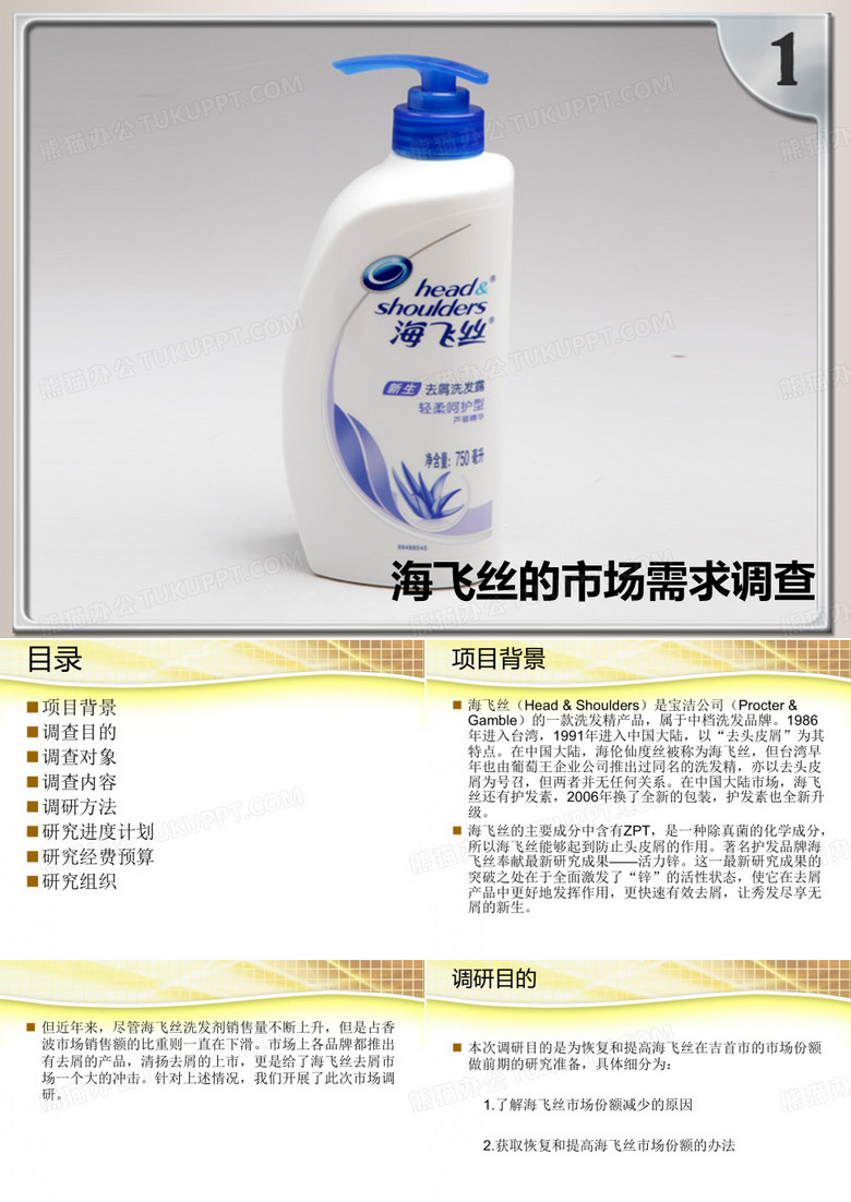 海飞丝的市场需求调查