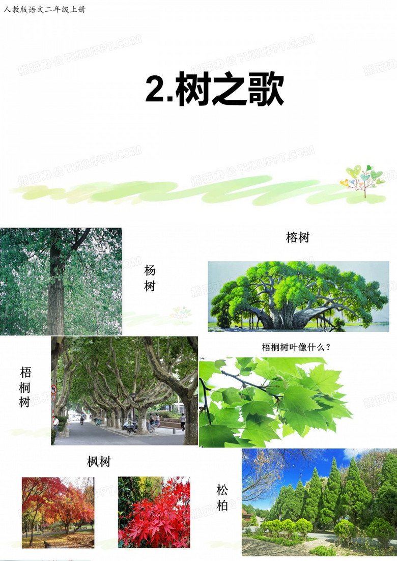 枫树松柏木棉桦树银杏水杉金桂树杨树高榕树壮梧桐树叶像手掌