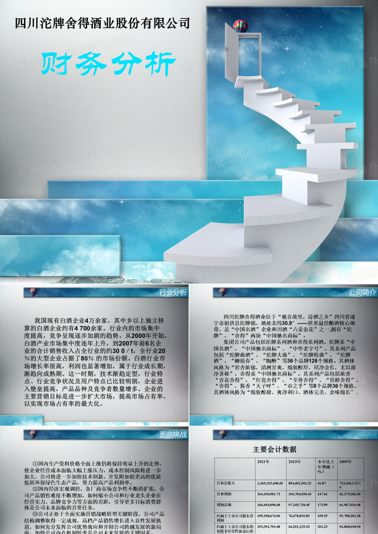 沱牌舍得财务分析