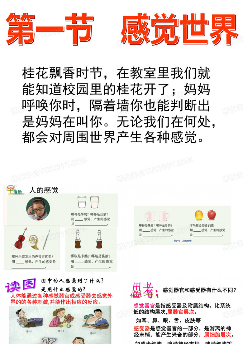 触觉感受器