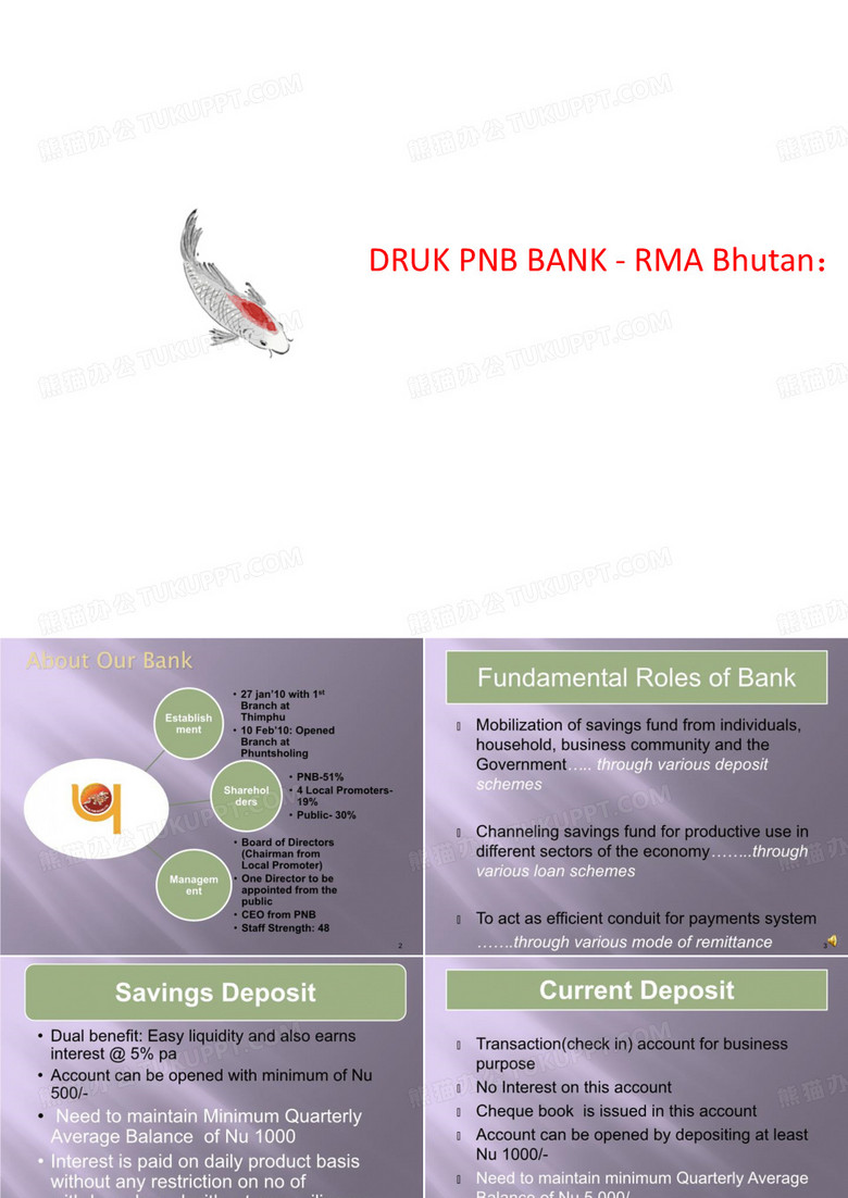 DRUK PNB BANK - RM讲义A Bhutan：德鲁克PNB银行RMA不丹