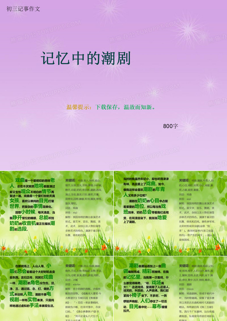 初三记事作文《记忆中的潮剧》800字(总11页PPT)