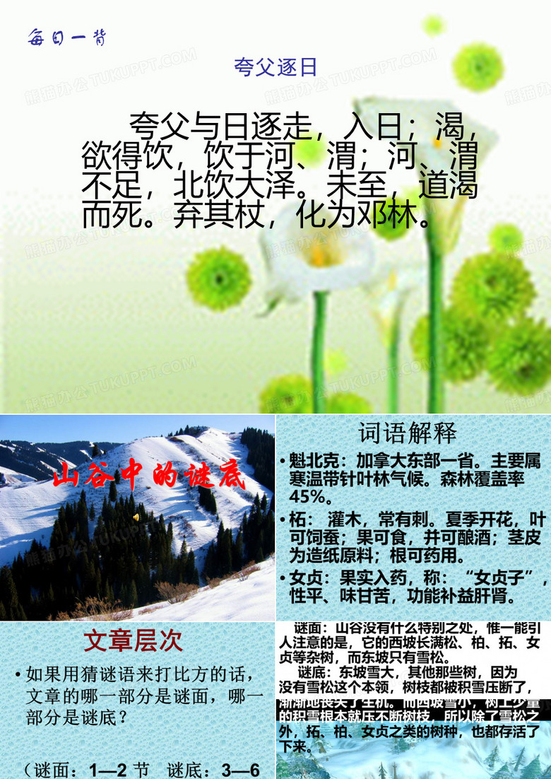 山谷中的谜底