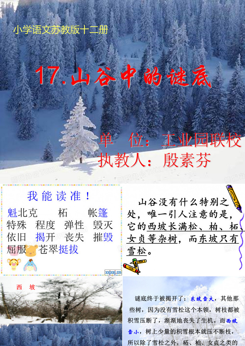 山谷中的谜底课件