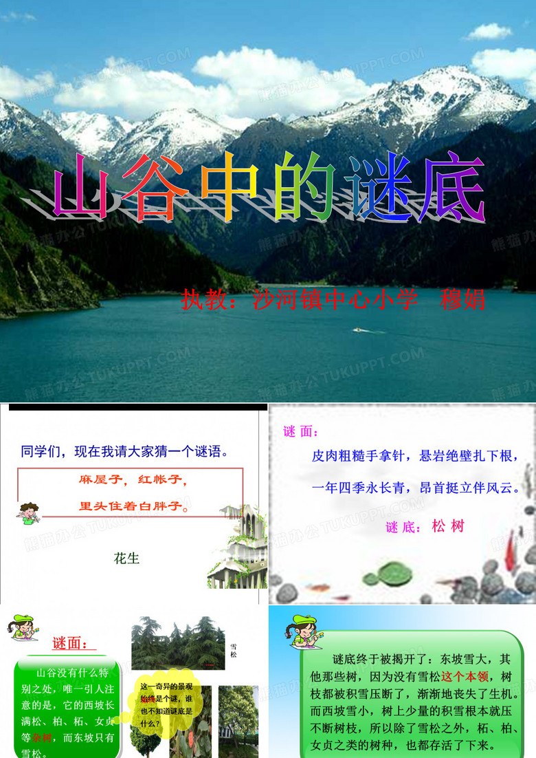 《山谷中的谜底》课件