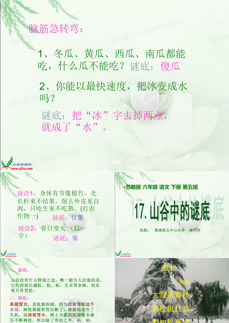 山谷中的谜底课件