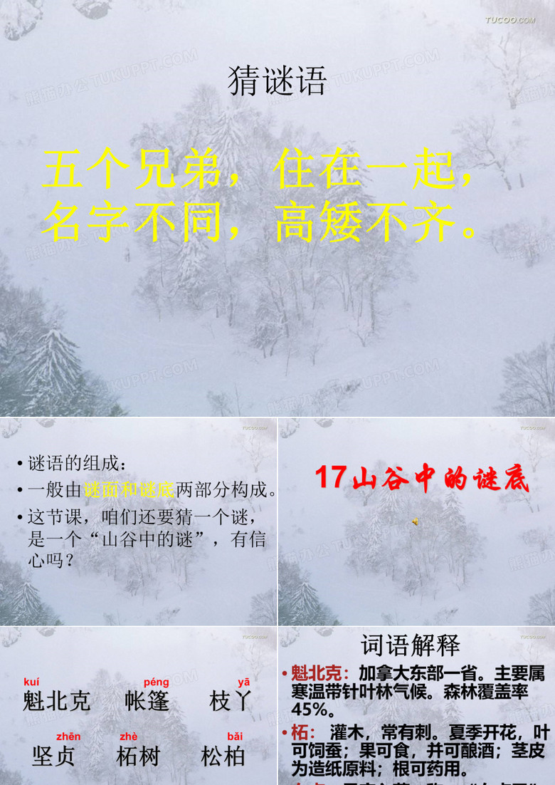 17、山谷中的谜底