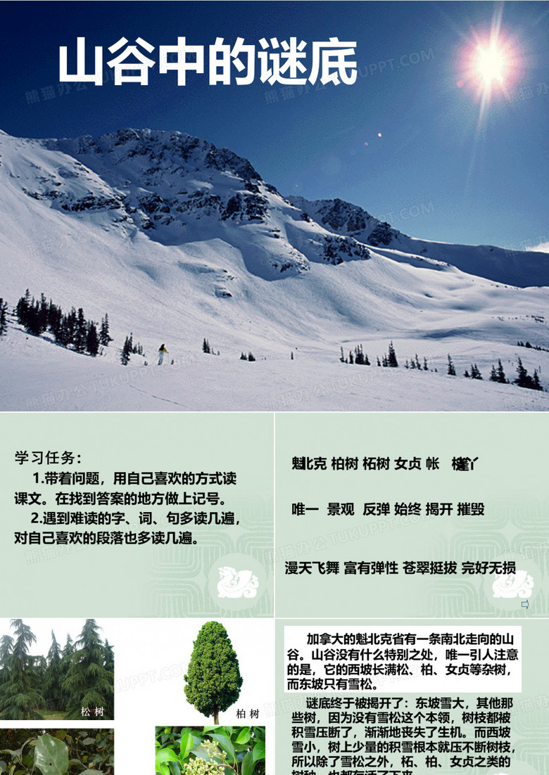 山谷中的谜底(第一课时)