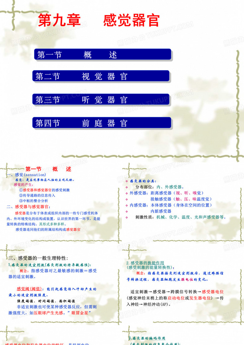 感觉器官